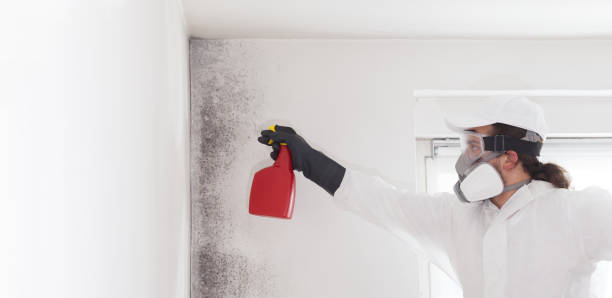 Best Professional Mold Removal  in Unionville, TN