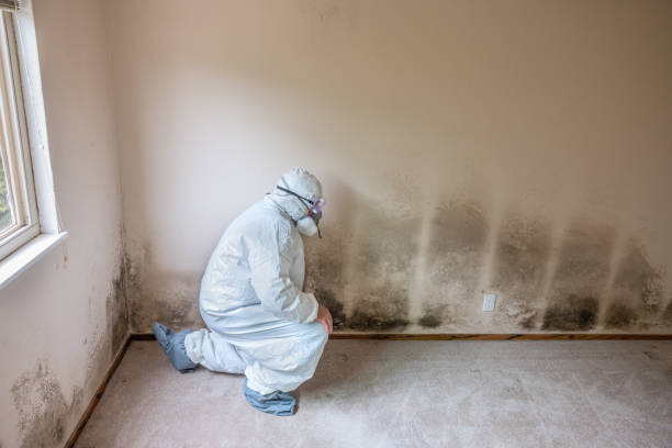 Best Toxic Mold Removal  in Unionville, TN