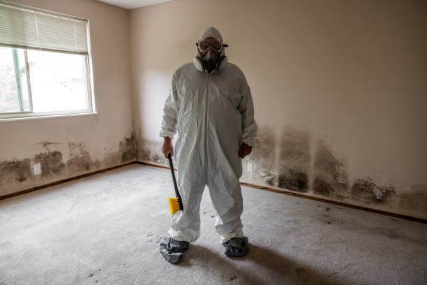 Best Residential Mold Removal  in Unionville, TN